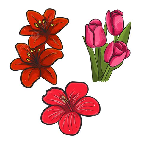 flores dibujadas-4